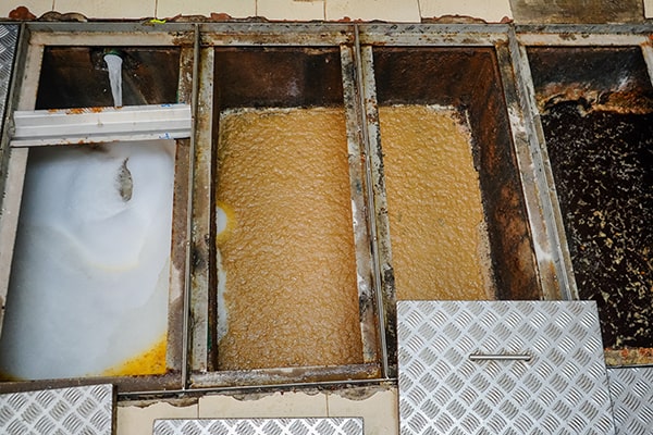 the average cost of professional grease trap maintenance varies depending on the size and condition of the trap